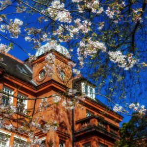 Front Of School Blossom USE Scaled